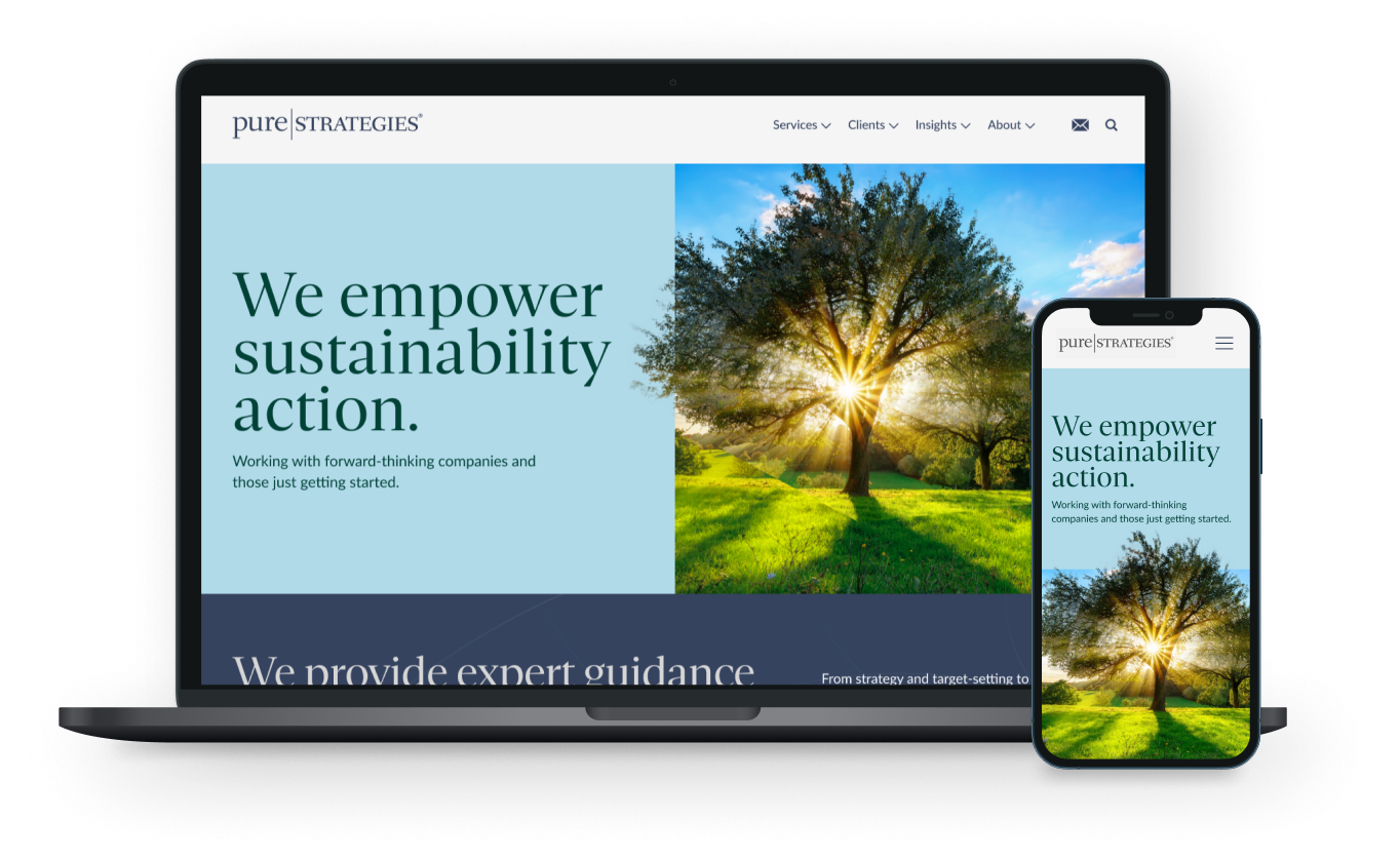 Pure Strategies website